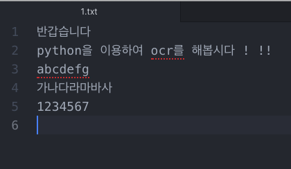 OCR이 후 이미지